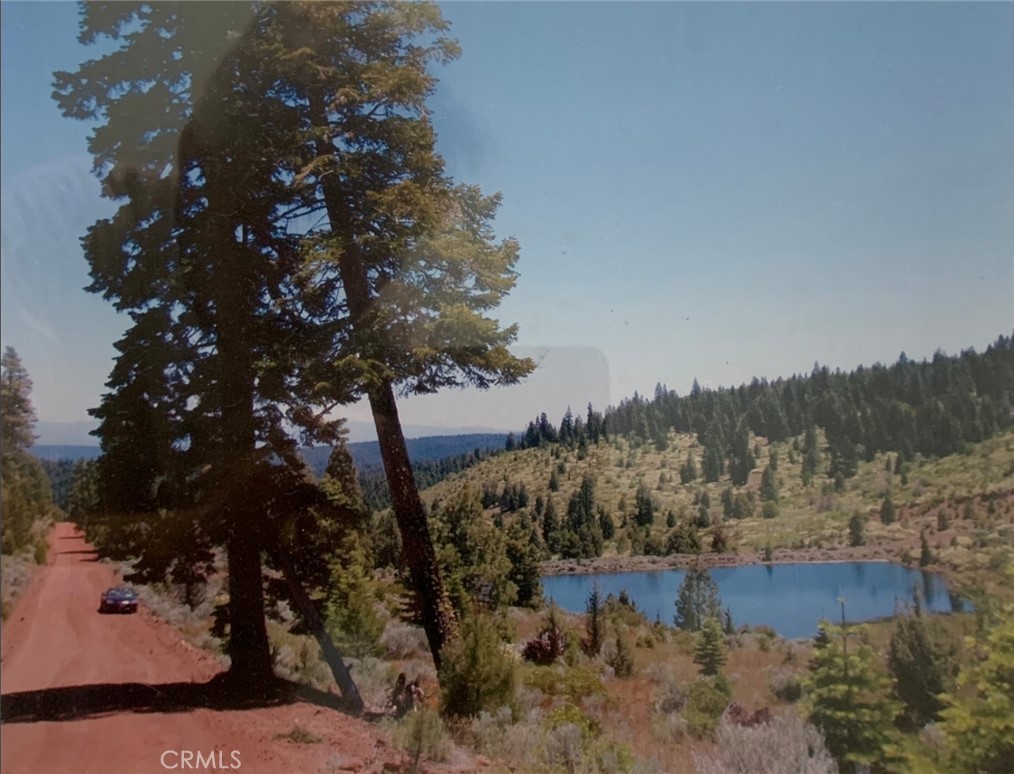 a view of a yard with wooden fence