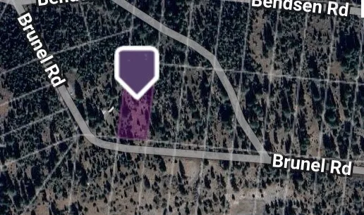 a view of a wooden door with a tree