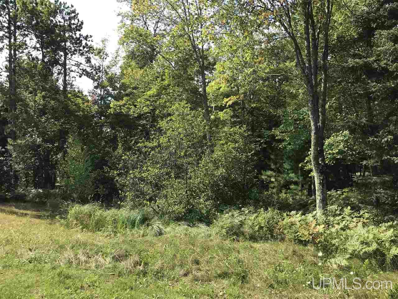 17569 2nd Sand Beach Road Lanse, MI 49946 - Photo 26 of 26