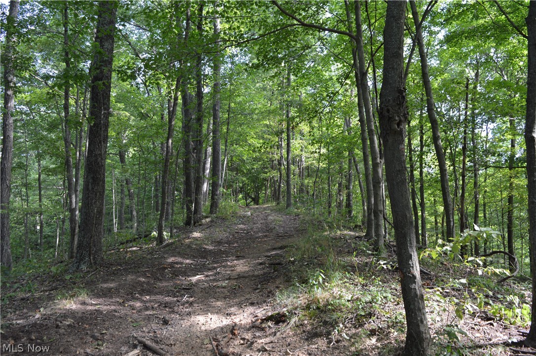 Beverlin Fork Center Point, WV 26339 - Photo 1 of 17