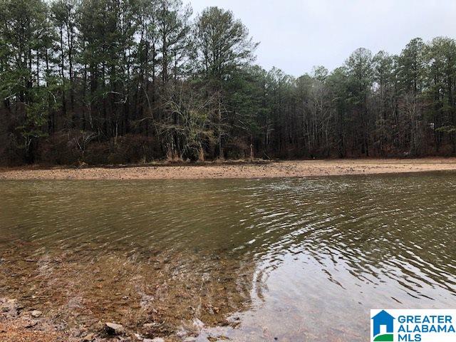 0 Lakeside Lane, Unit 31 Alpine, AL 35014 - Photo 18 of 42