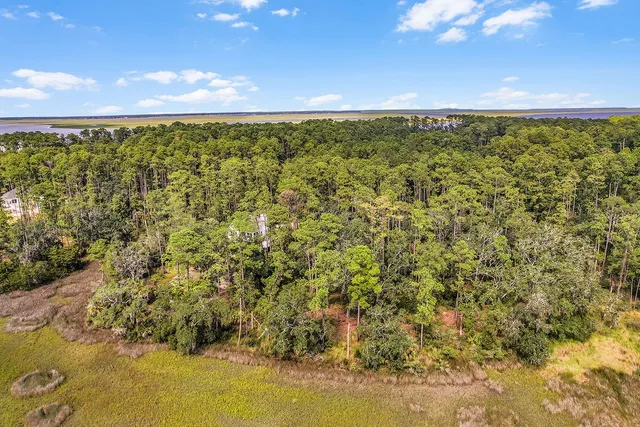 $45,000 | Lot 135 Blackbeard Court Northeast, Townsend, GA 31331