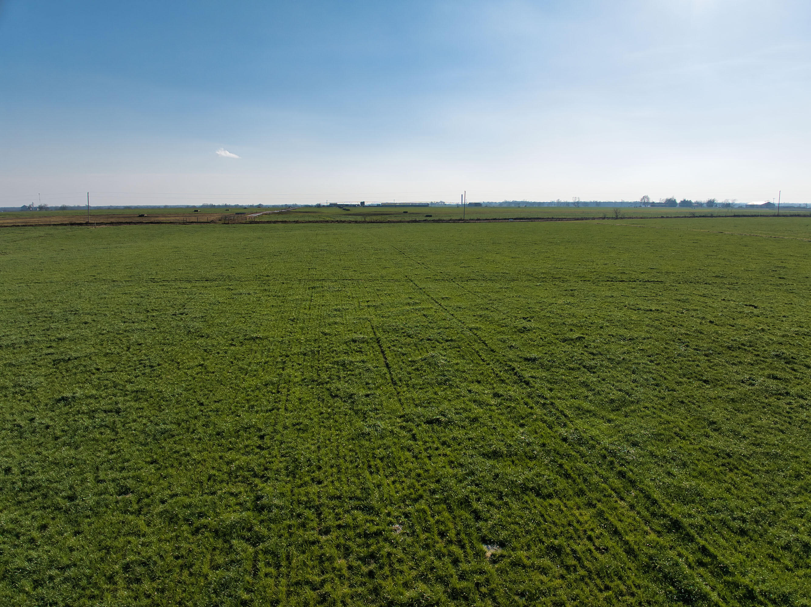 24990 Kentucky Road Granby, MO 64844 - Photo 13 of 61 DJI_20251205143101_0016_D