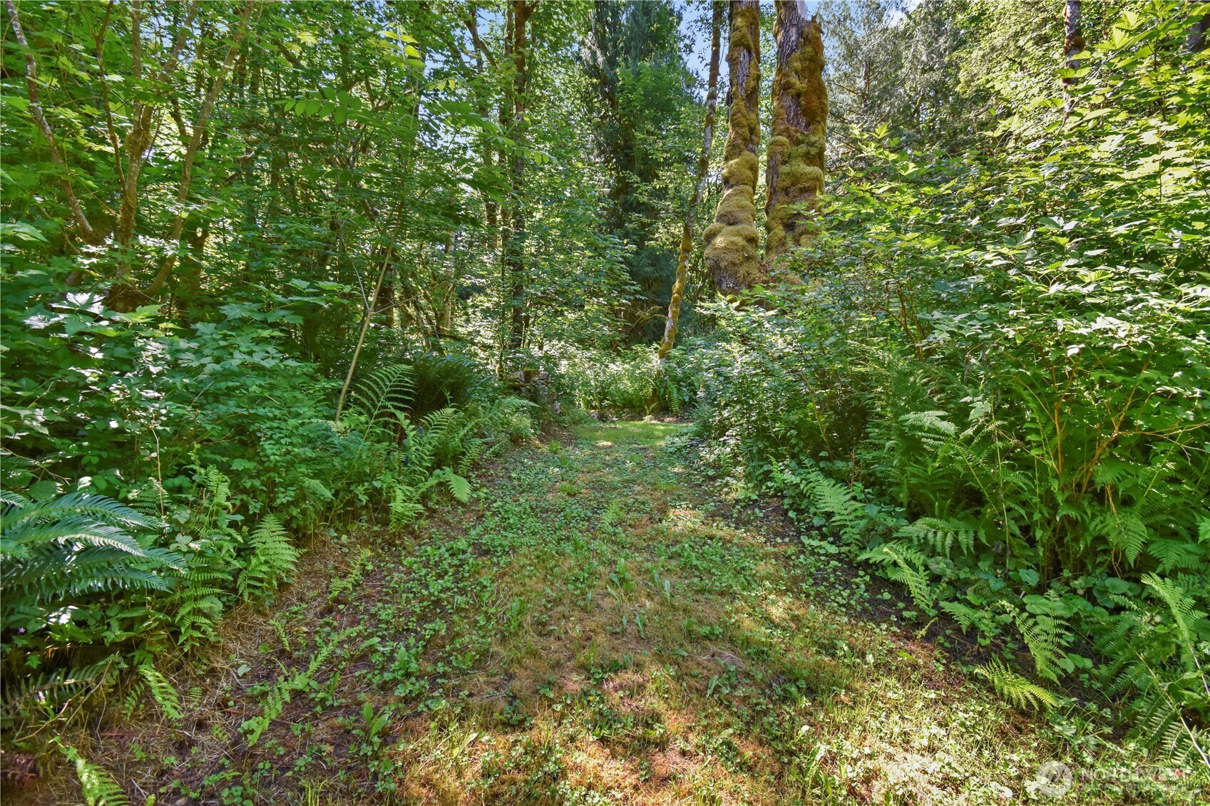 59153 Marblegate Road Marblemount, WA 98267 - Photo 11 of 40