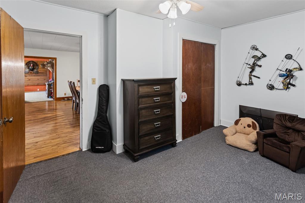 211 South Public Road Fieldon, IL 62031 - Photo 16 of 41