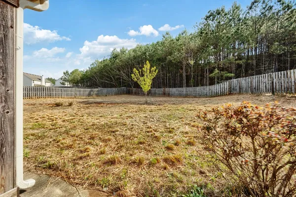 a view of a yard with large trees