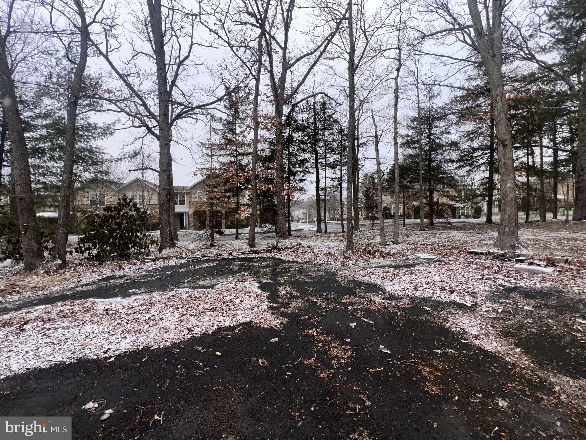 198 Pysell Road McHenry, MD 21541 - Photo 41 of 47 a view of a tree with a yard