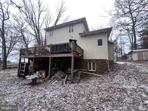 a view of a trees with a tree in the background