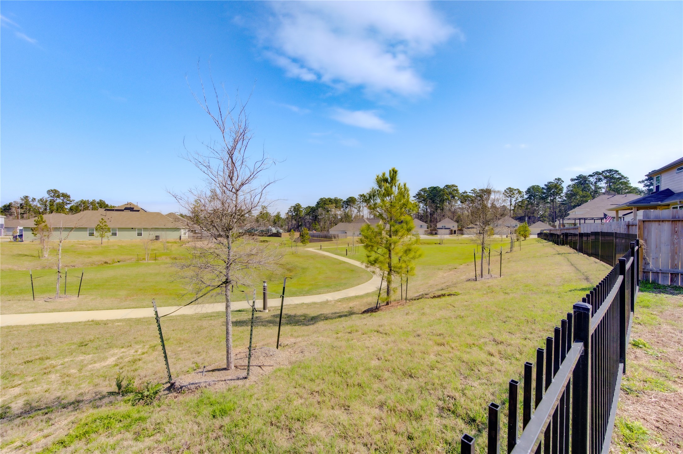 2534 Sturgeon Way Conroe, TX 77384 - Photo 28 of 28