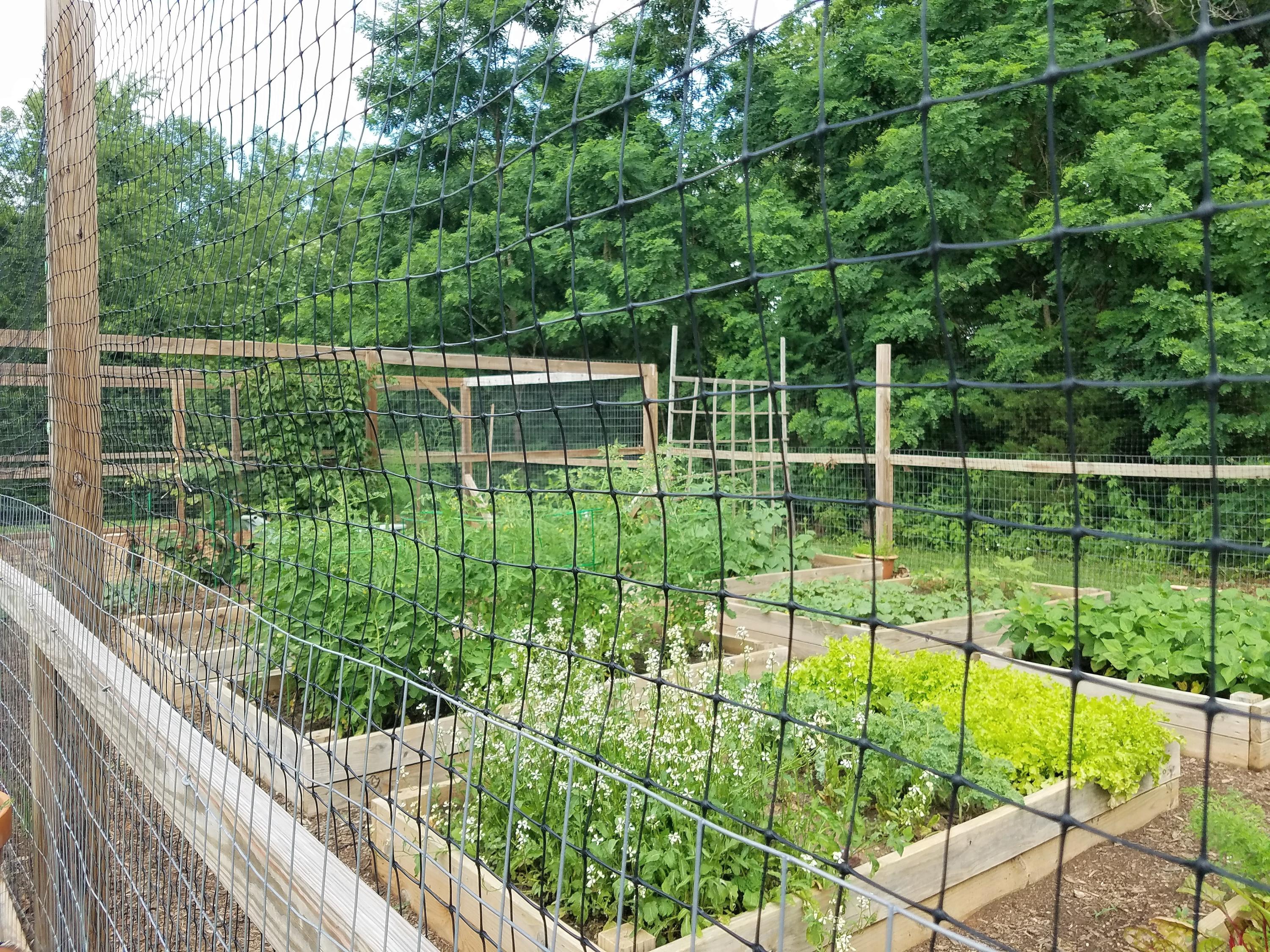315 Ellis Road Hardy, VA 24101 - Photo 24 of 32 producing garden