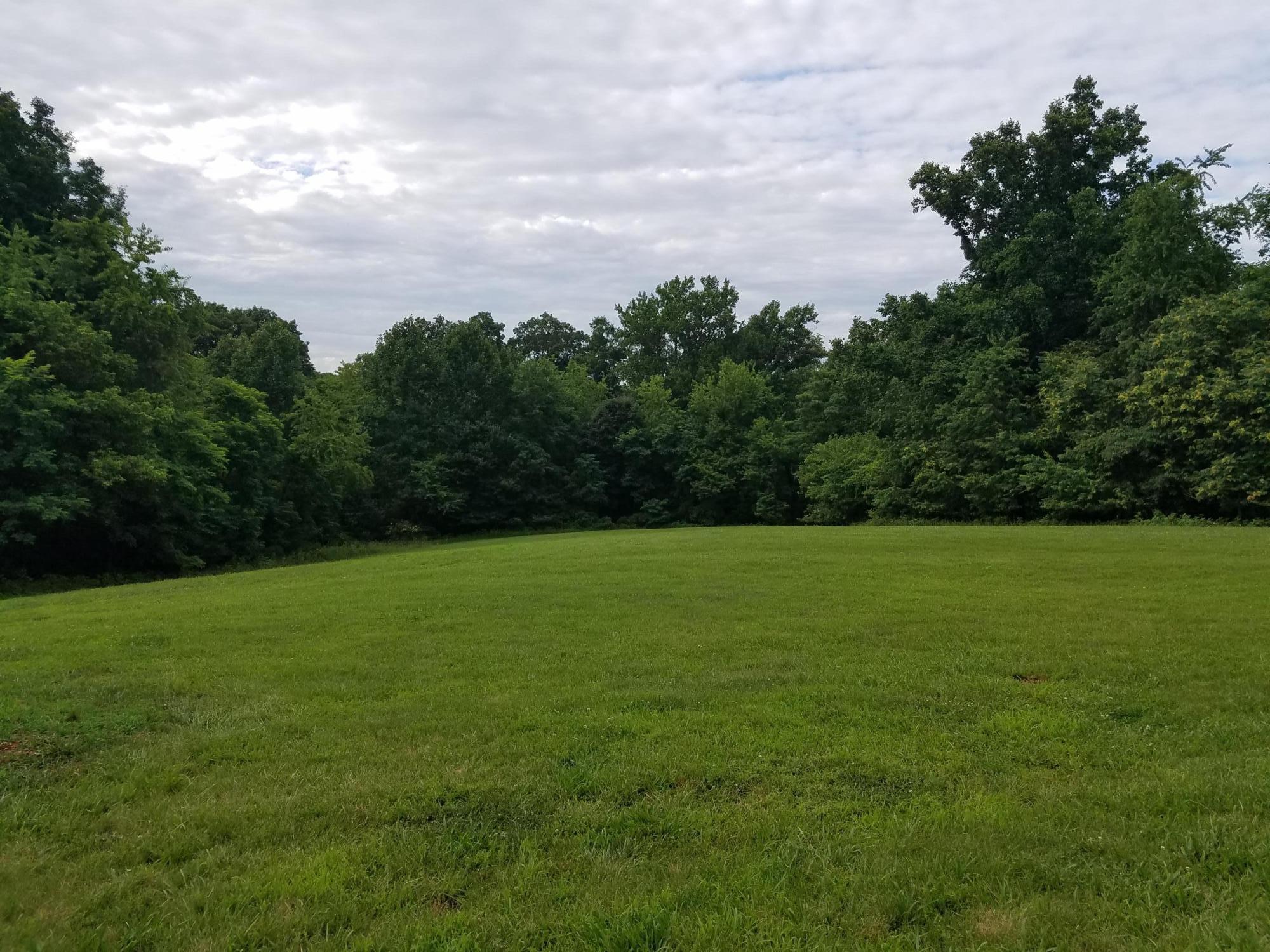315 Ellis Road Hardy, VA 24101 - Photo 29 of 32 yard