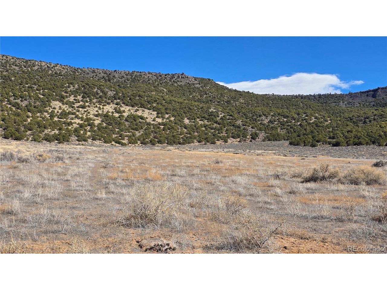 75 Old Stage Coach Road San Luis, CO 81152 - Photo 15 of 17 a view of a dry yard with mountains in the background