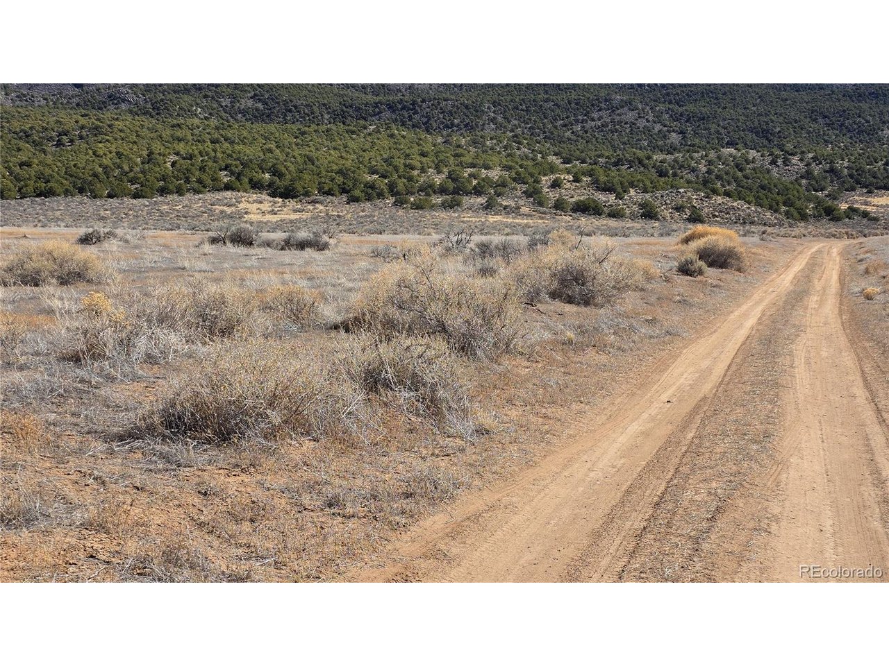 75 Old Stage Coach Road San Luis, CO 81152 - Photo 16 of 17 a picture of a field