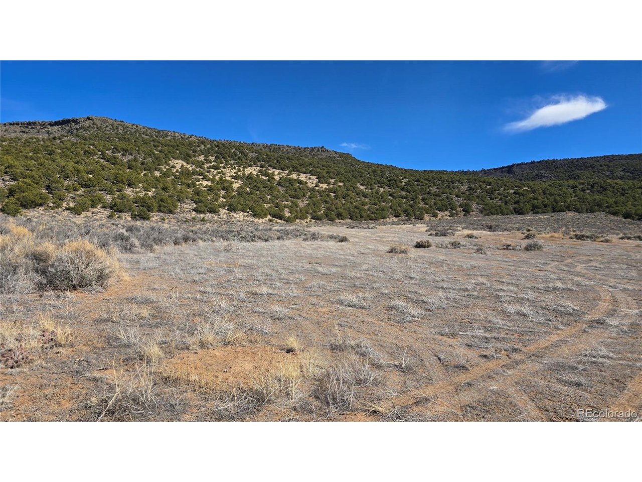 75 Old Stage Coach Road San Luis, CO 81152 - Photo 3 of 17 a view of a field with an ocean