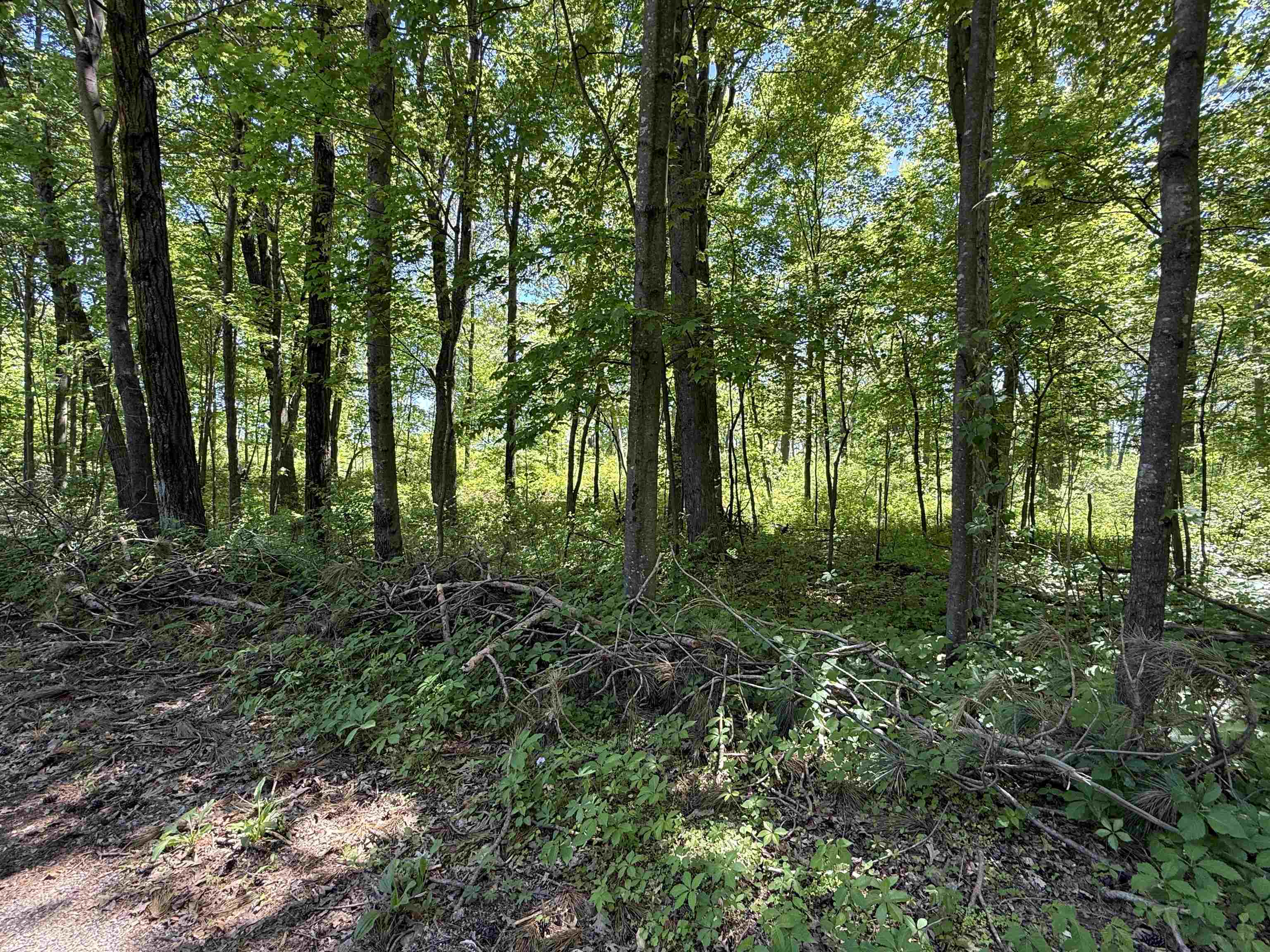 Lot 16 Arrowhead Road Amherst Junction, WI 54407 - Photo 11 of 17
