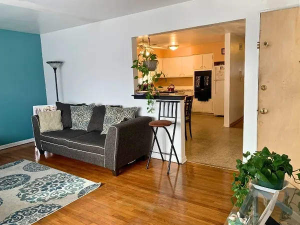 a living room with furniture and a potted plant