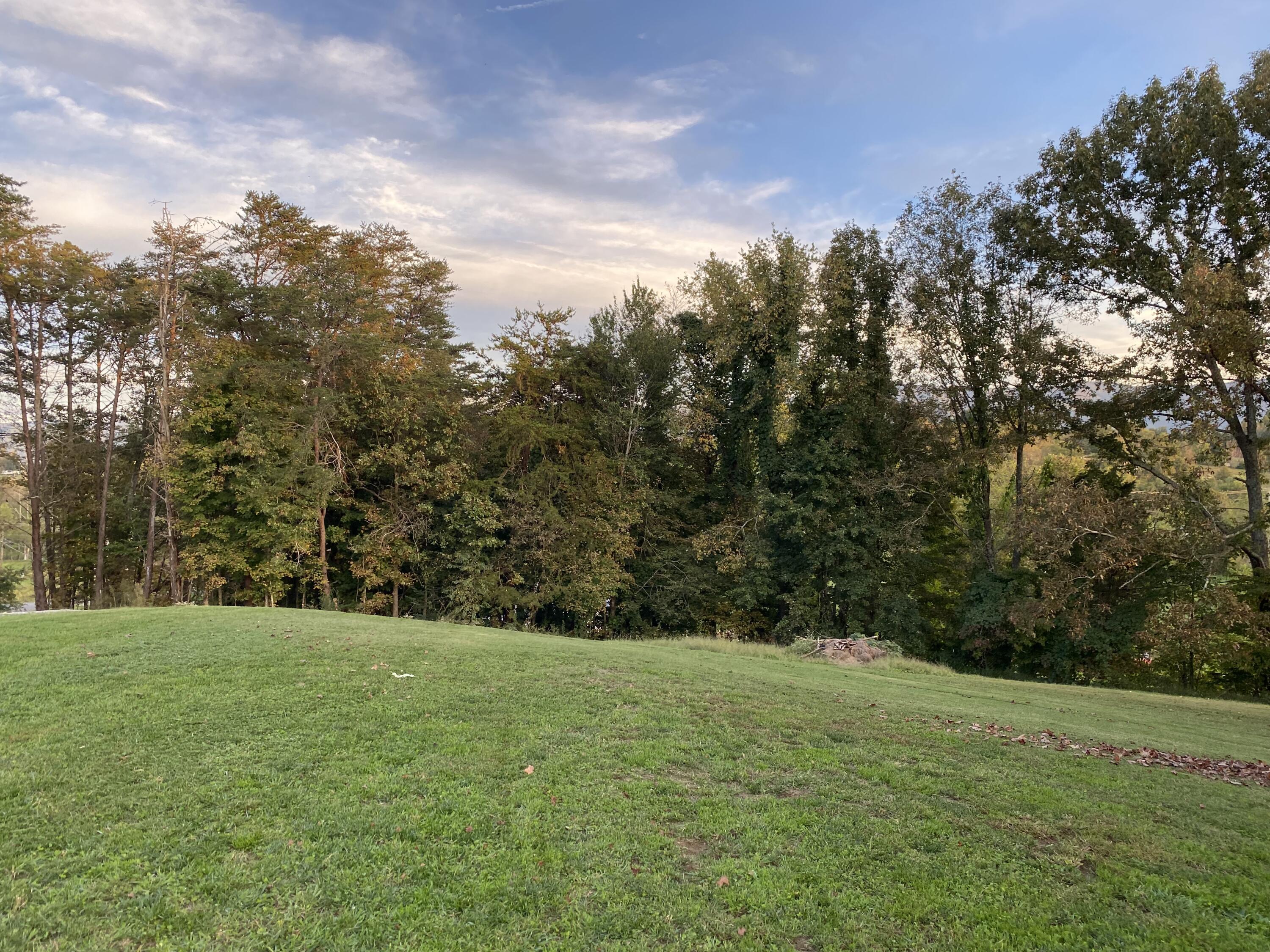 1208 Corby Bridge Road Chuckey, TN 37641 - Photo 11 of 13 IMG_9126