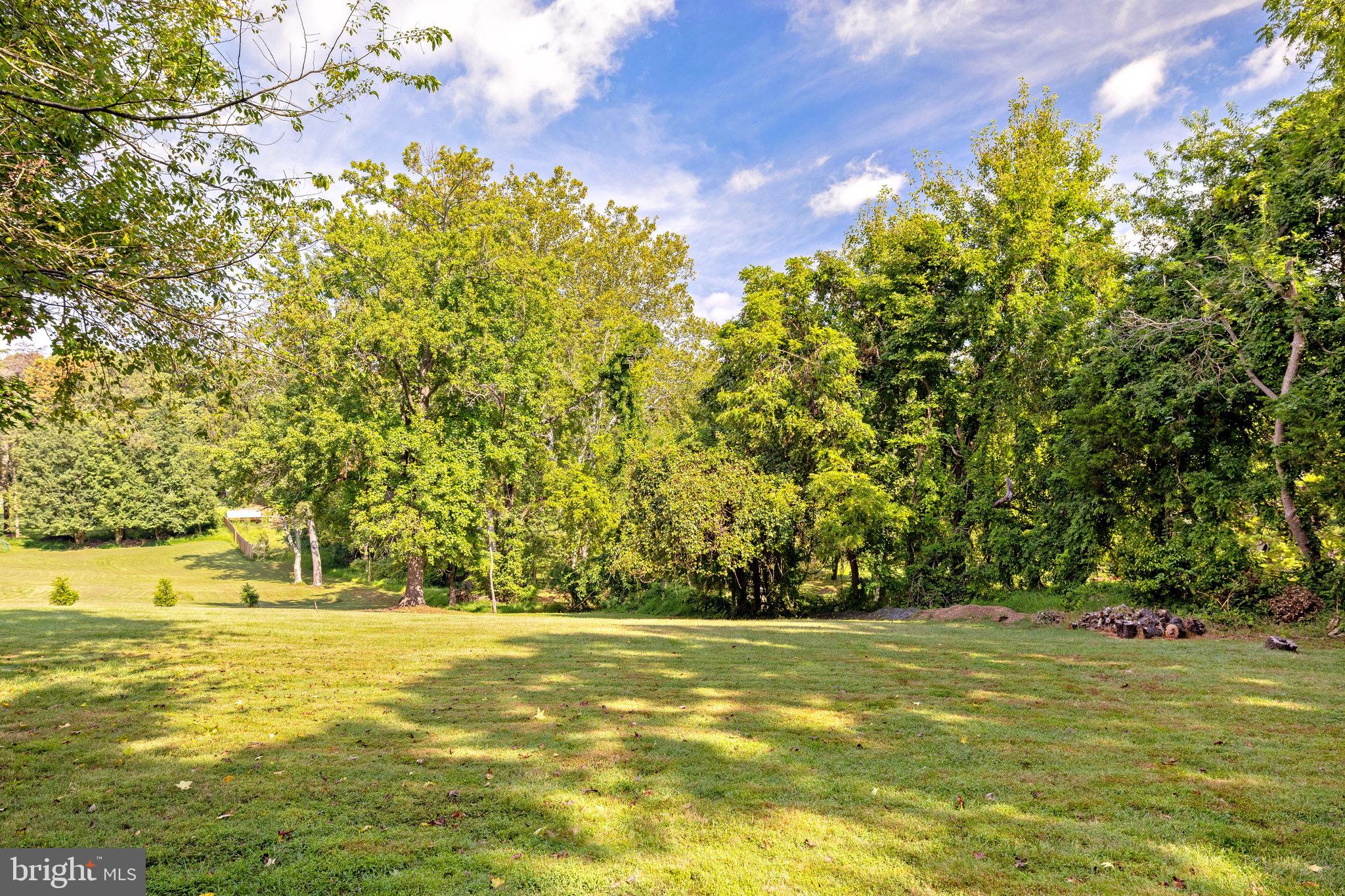 11410 Waples Mill Road Oakton, VA 22124 - Photo 62 of 62 Lush green retreat under blue skies.