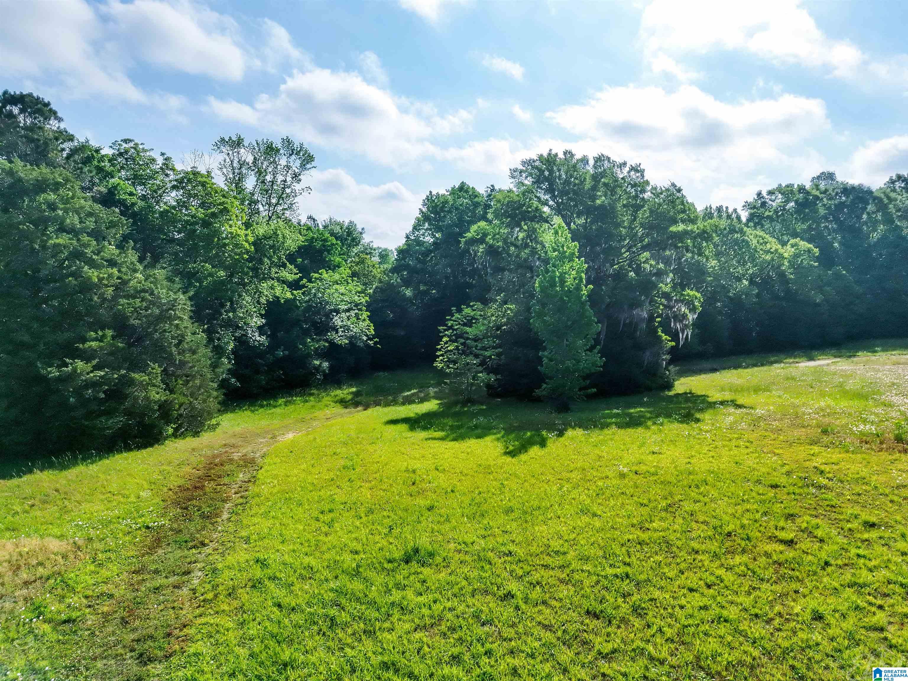 80 Brady Road, Unit 1 Hope Hull, AL 36043 - Photo 3 of 20