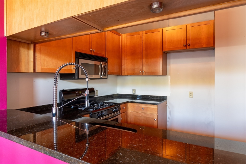 1 Envelope Terrace, Unit 202 Worcester, MA 01604 - Photo 8 of 25 Gallery Image 8
