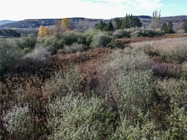 $32,900 | 3 William Street, Addison, NY 14801