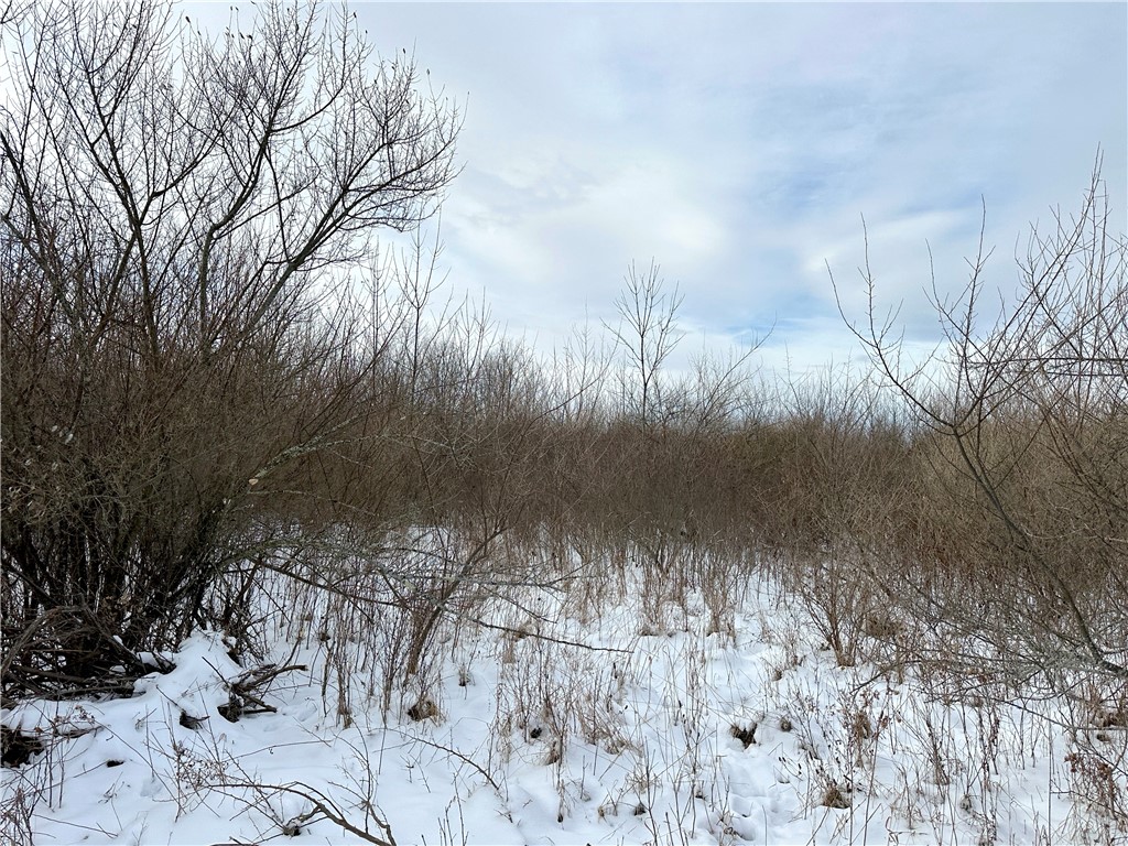 3 William Street Addison, NY 14801 - Photo 14 of 27