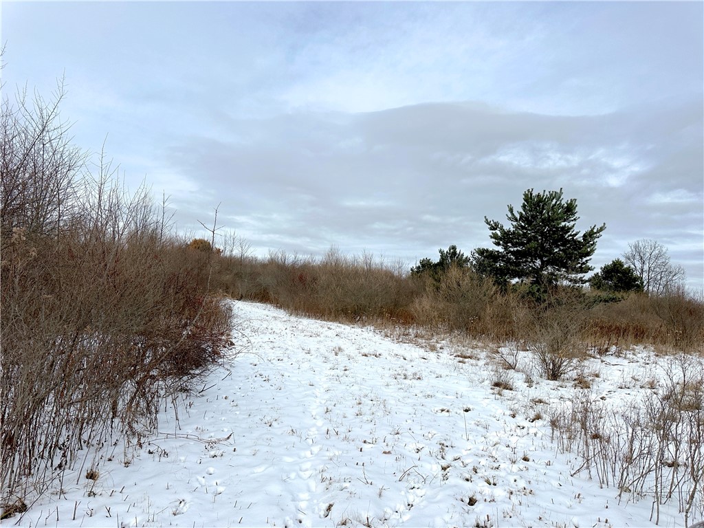 3 William Street Addison, NY 14801 - Photo 16 of 27