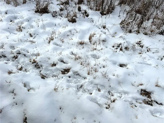 $32,900 | 3 William Street, Addison, NY 14801