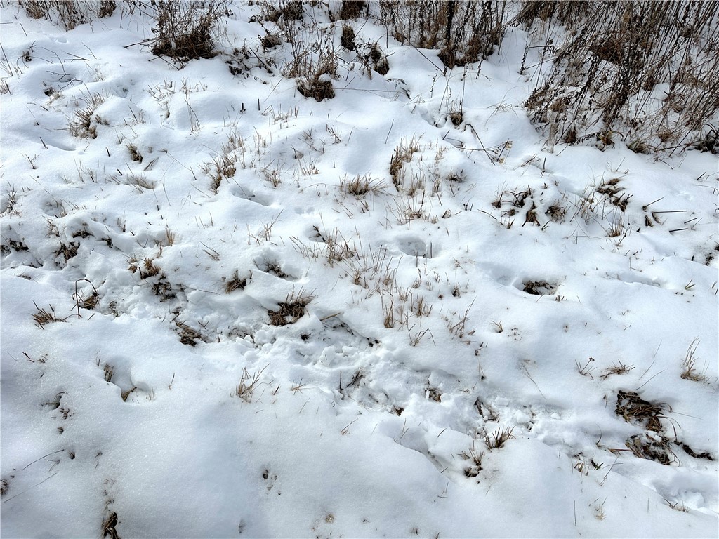 3 William Street Addison, NY 14801 - Photo 17 of 27