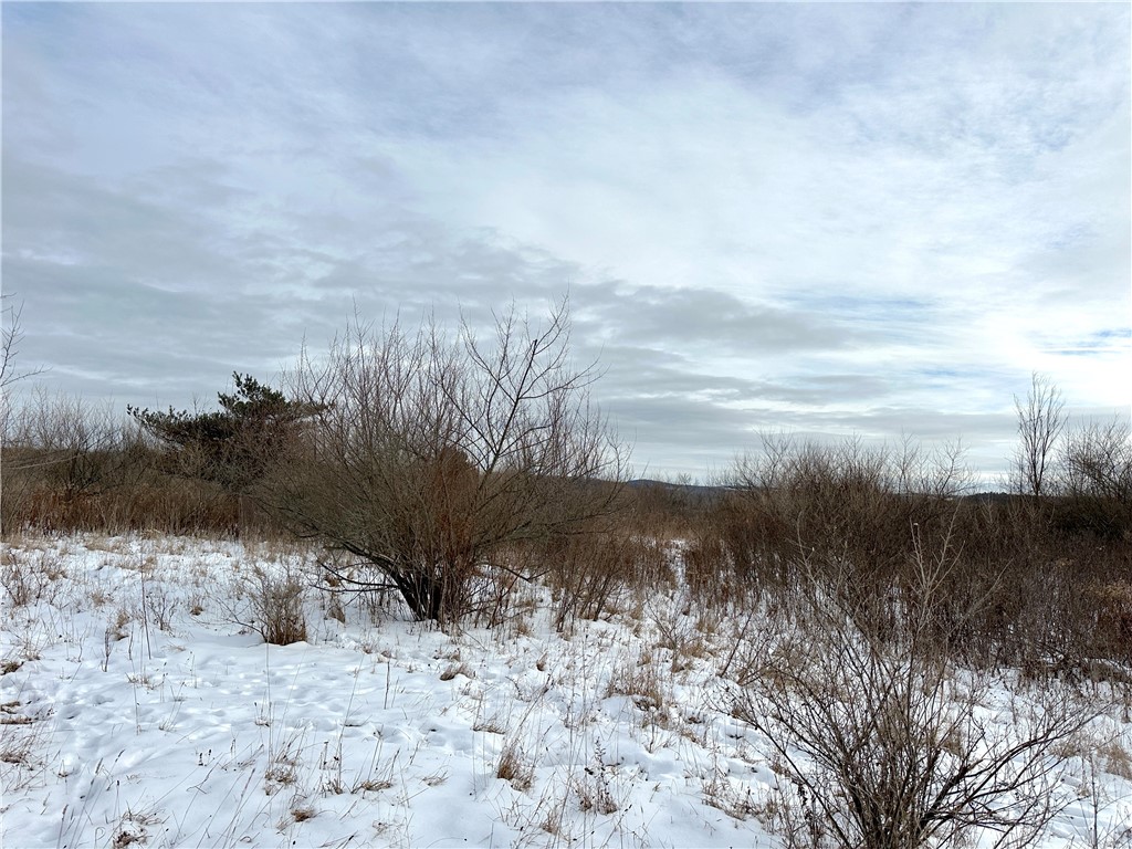 3 William Street Addison, NY 14801 - Photo 19 of 27