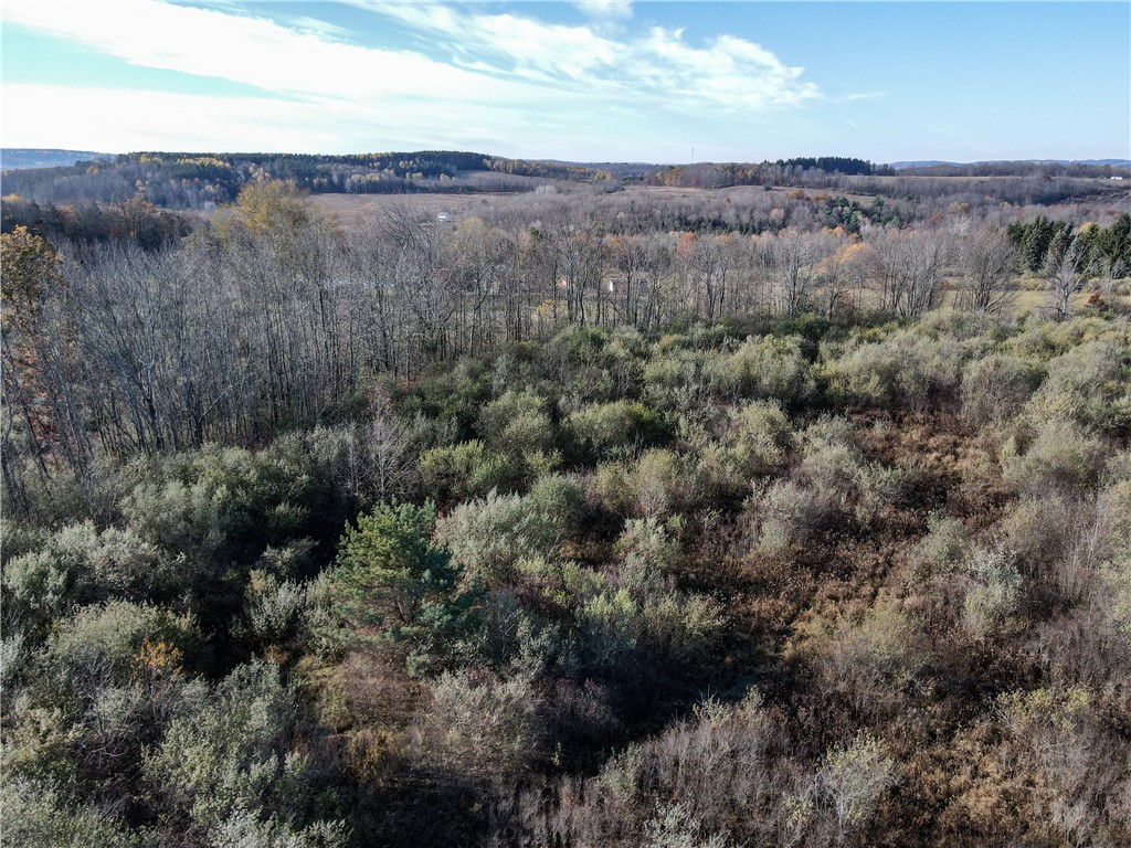 3 William Street Addison, NY 14801 - Photo 21 of 27