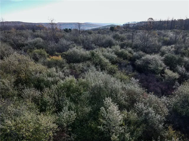 $32,900 | 3 William Street, Addison, NY 14801