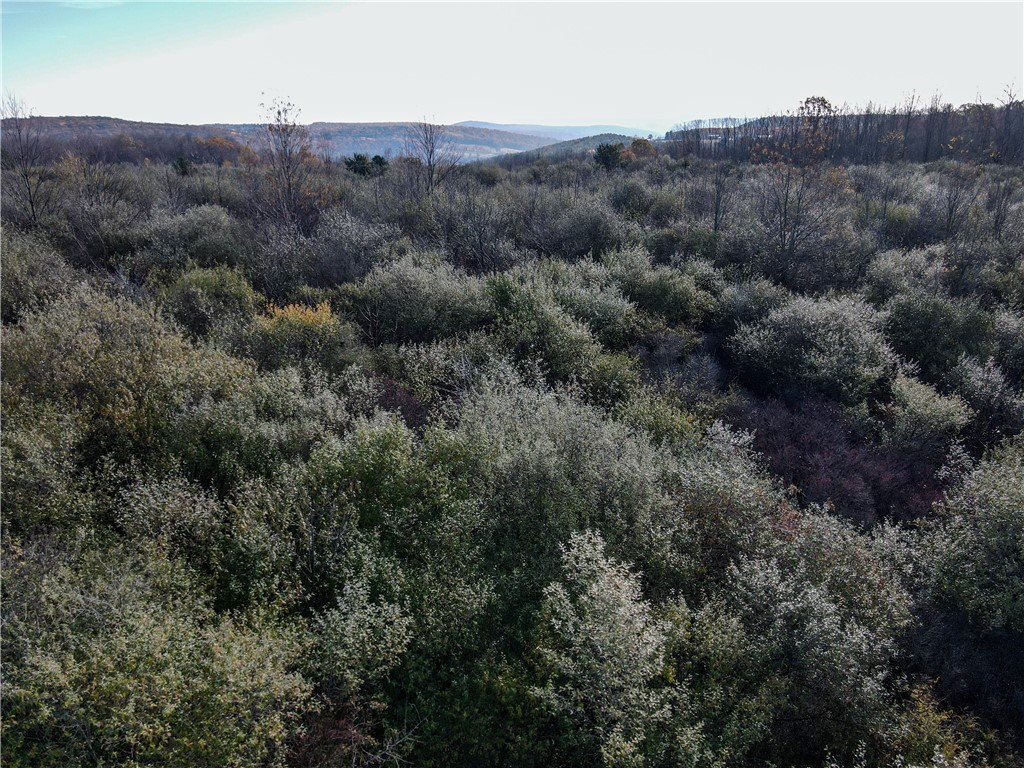 3 William Street Addison, NY 14801 - Photo 22 of 27