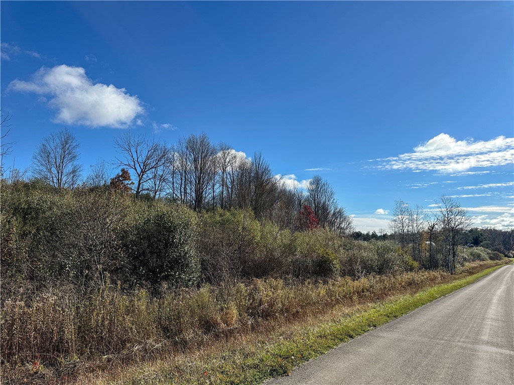 3 William Street Addison, NY 14801 - Photo 3 of 27