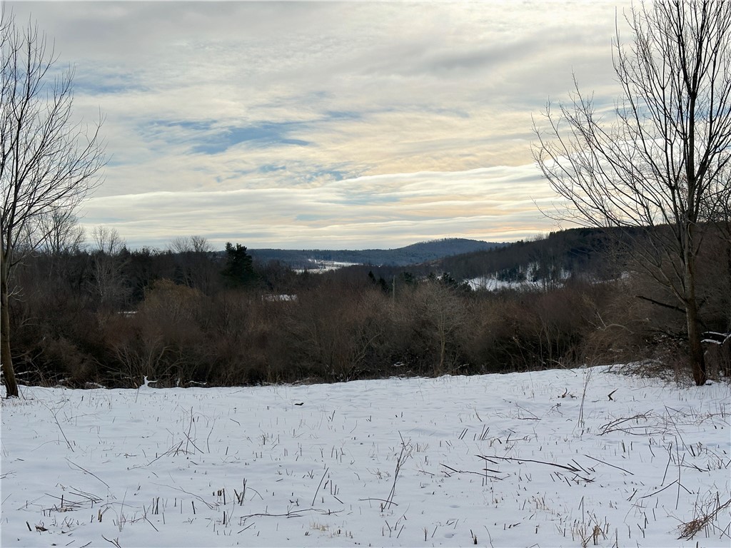 3 William Street Addison, NY 14801 - Photo 10 of 27