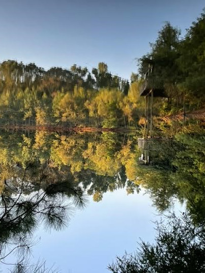 83 Jayess Road Tylertown, MS 39667 - Photo 2 of 50 Photo 2