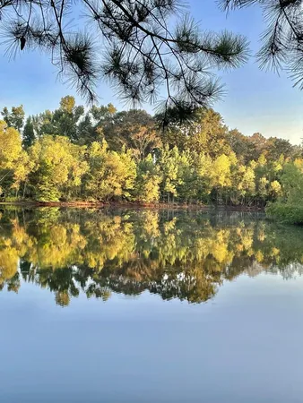 $595,000 | 83 Jayess Road, Tylertown, MS 39667