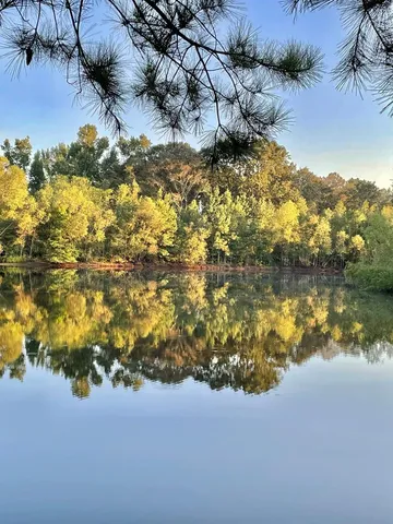 $650,000 | 83 Jayess Road, Tylertown, MS 39667