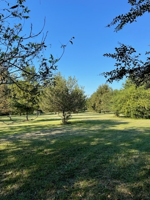 83 Jayess Road Tylertown, MS 39667 - Photo 28 of 50 Photo 28