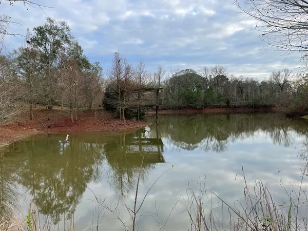 $595,000 | 83 Jayess Road, Tylertown, MS 39667