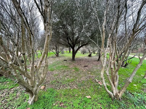 $595,000 | 83 Jayess Road, Tylertown, MS 39667