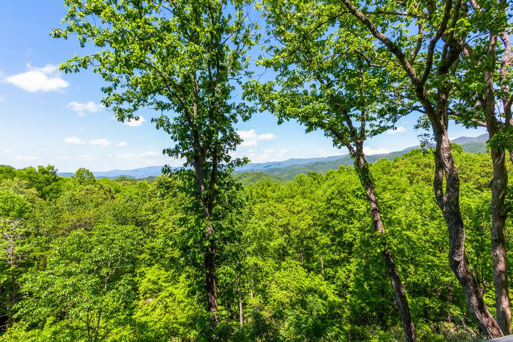 175 Pine Ridge Drive Andrews, NC 28901 - Photo 90 of 97