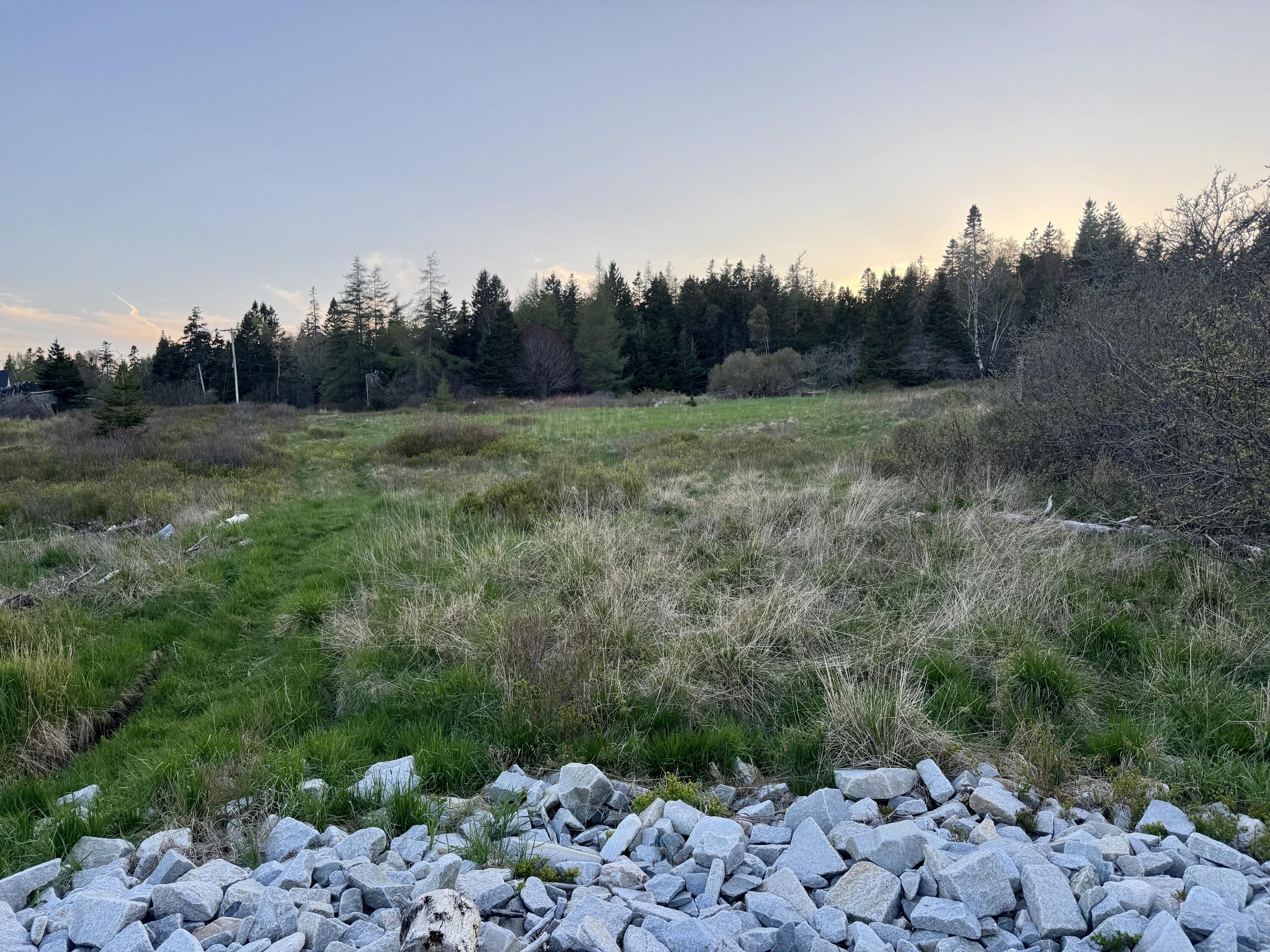 Lot #5 George Wright Road Vinalhaven, ME 04863 - Photo 17 of 29 IMG_7999