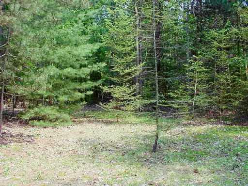 Lot # 1 Gameland Road Polk, PA 16342 - Photo 8 of 8 Other.