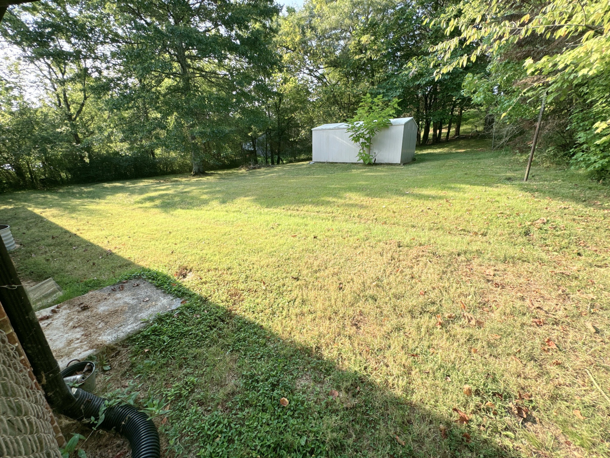 7 Switchboard Road Brush Creek, TN 38547 - Photo 18 of 20 a view of a yard with a house and large trees
