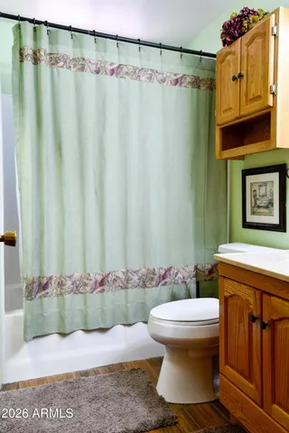 a bathroom with a sink and toilet