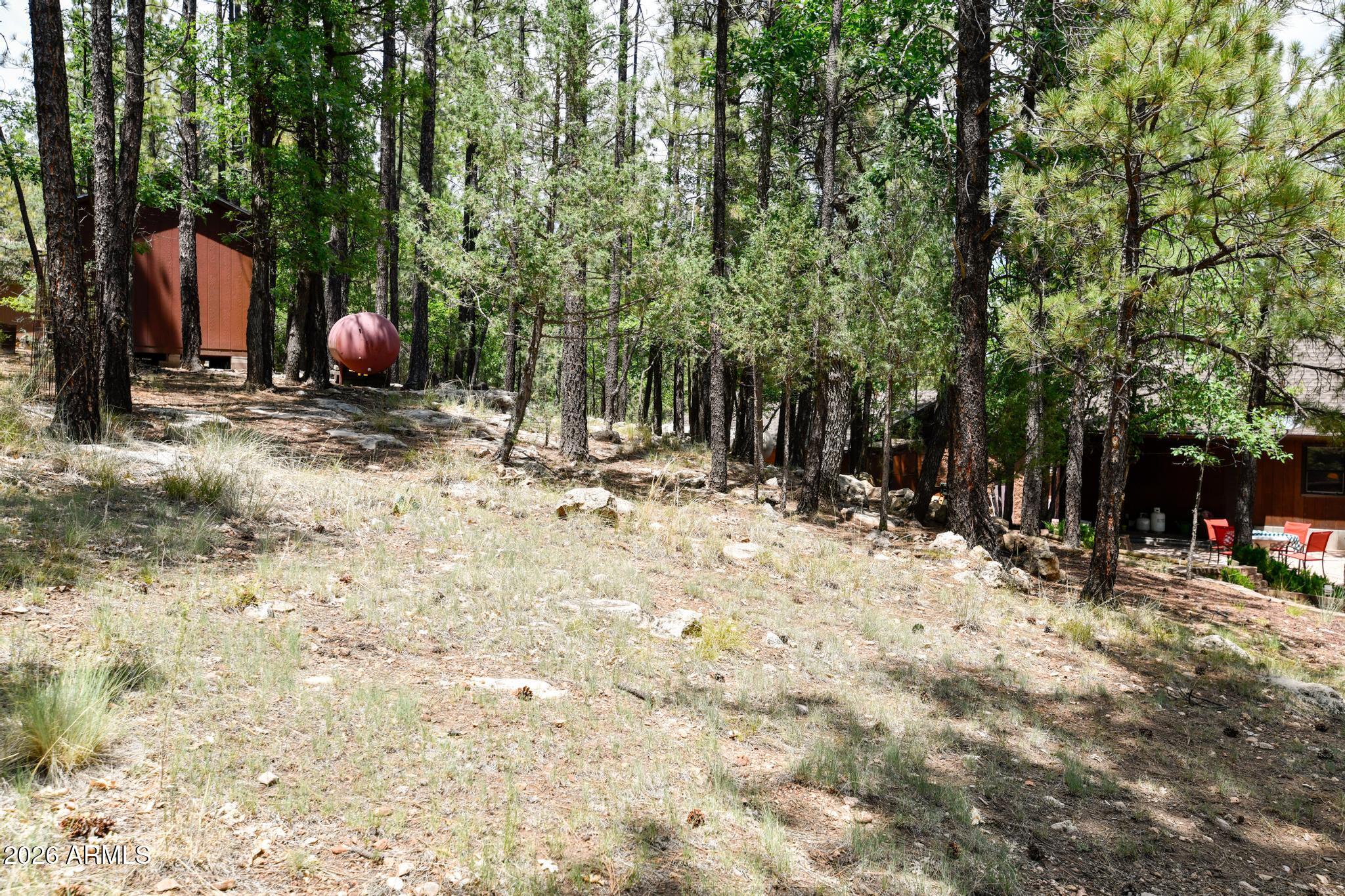 1018 Reata Pass Happy Jack, AZ 86024 - Photo 25 of 33 a backyard of a house with table and chairs
