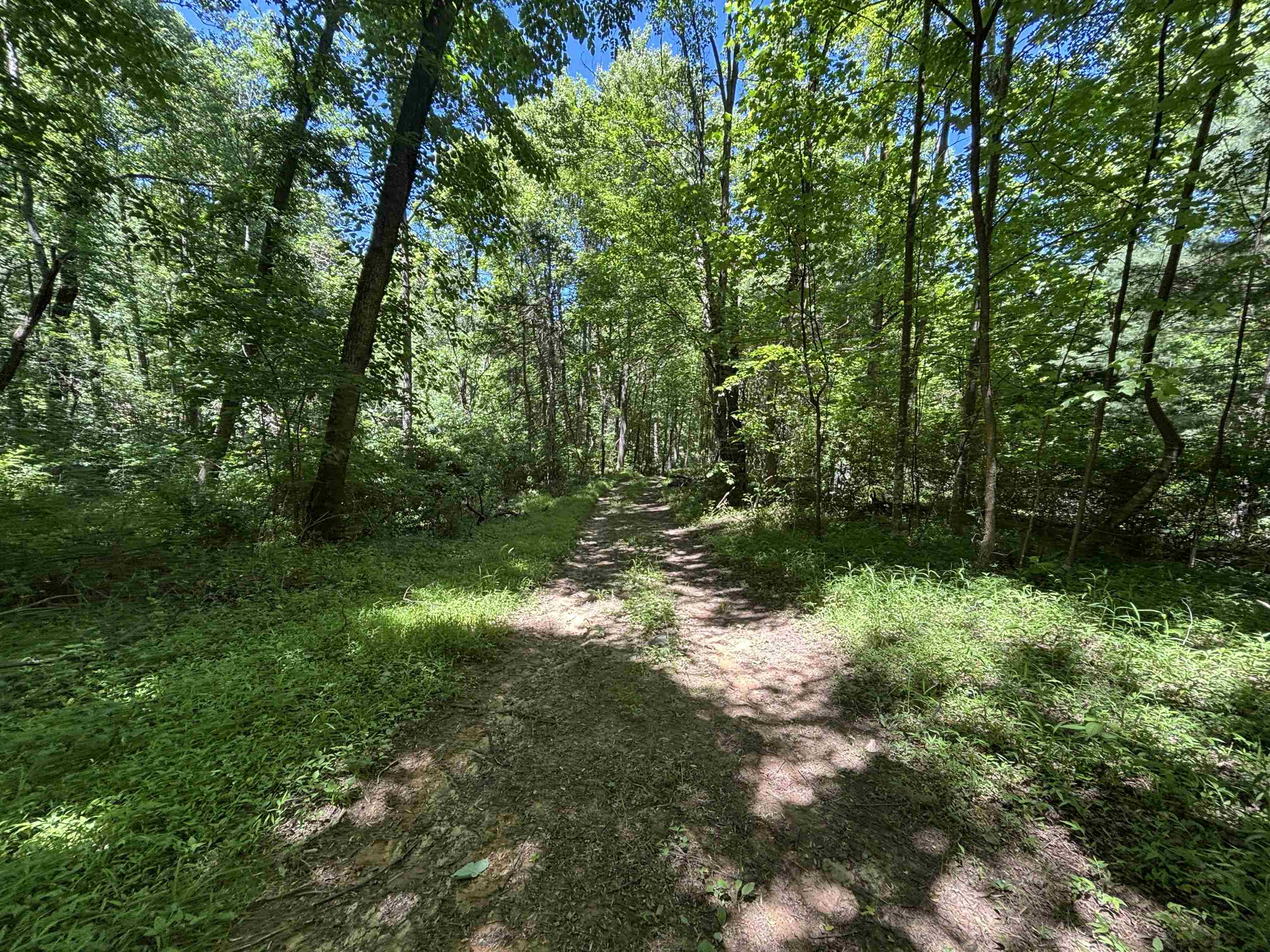 Jordan Hollow Road Stanley, VA 22851 - Photo 18 of 26 Trail around/across property