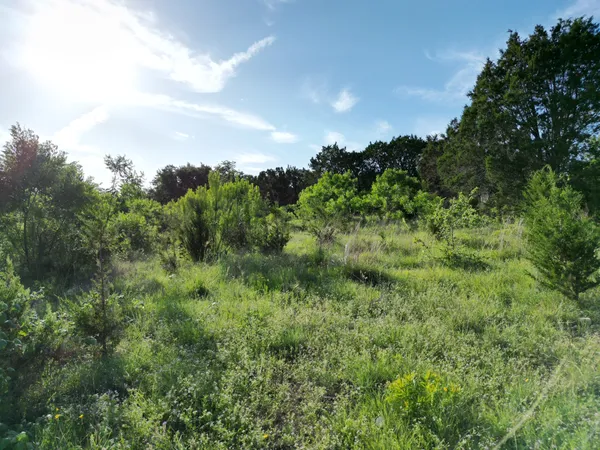a view of a green field