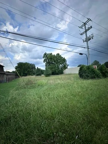 a view of a yard in front of a house